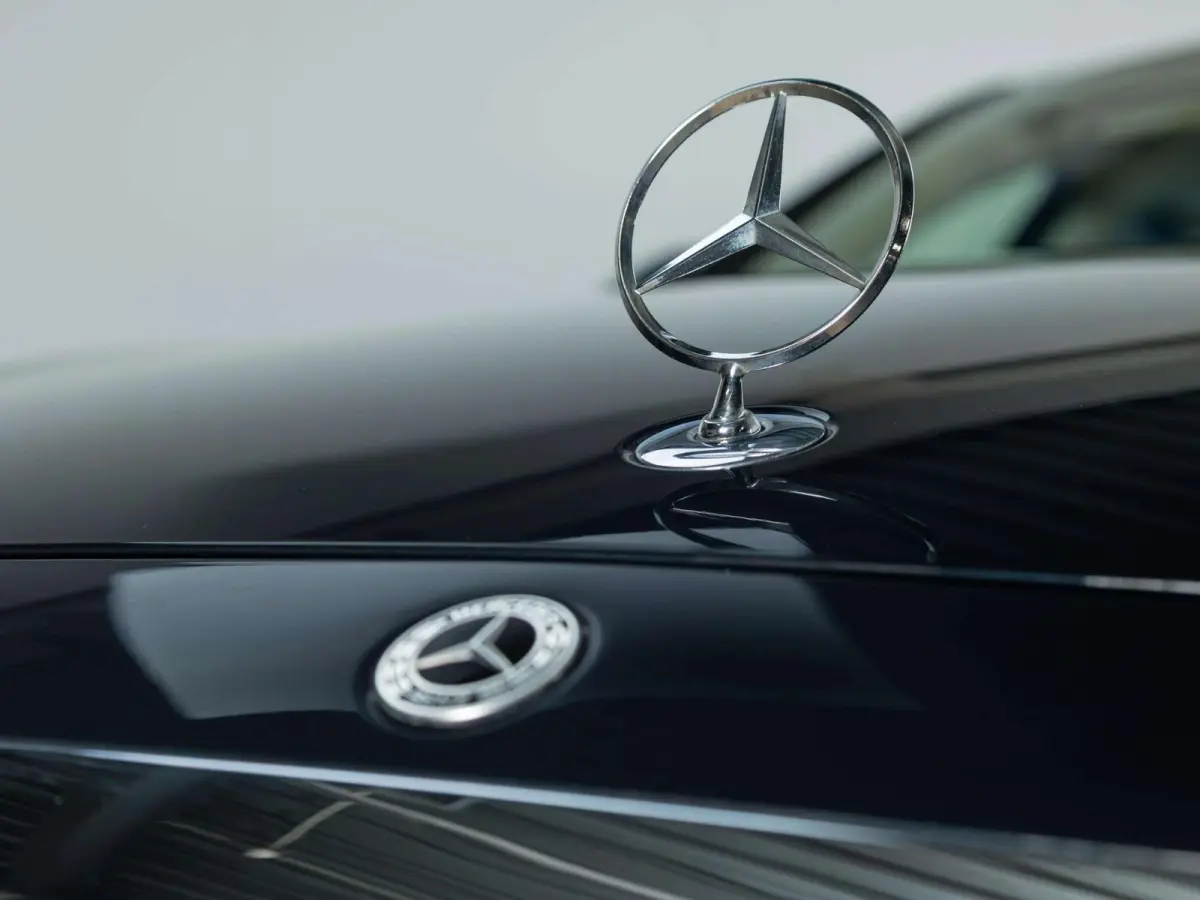 450 4MATIC Lang Panorama dak