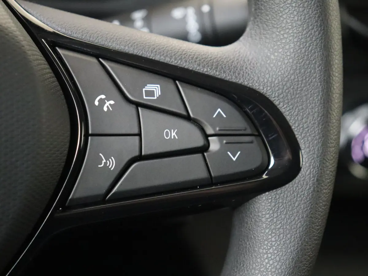 Advance L2 44 kWh | Cruise control | Climate Control | Navigatie| Airco