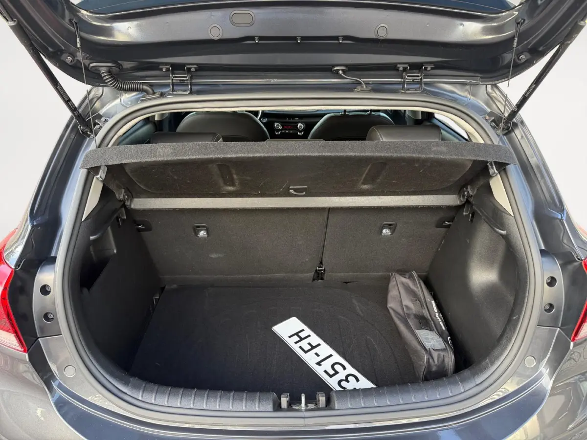 1.0 TGDI GT-Line AUTOMAAT ! | STOELVERWARMING | CLIMATE CONTROL | DEALER ONDERHOUDEN | NAVIGATIE | STUURVERWARMING | TREKHAAK!