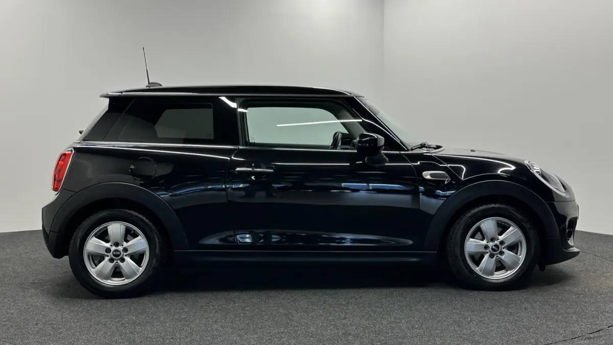 Mini 1.5 Pepper NAVIGATIE CRUISE LM.