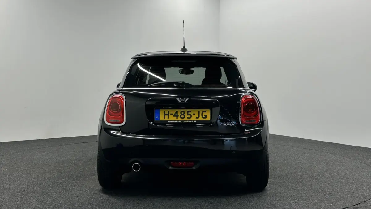 Mini 1.5 Pepper NAVIGATIE CRUISE LM.