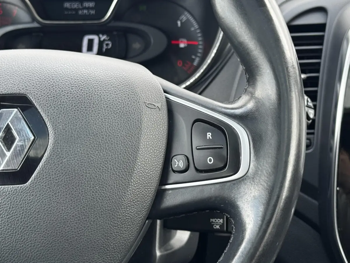 1.3 TCe Intens A/T / Pano / Navigatie / Achteruitrijcamera / Parkeer Assistent / Keyless Entry