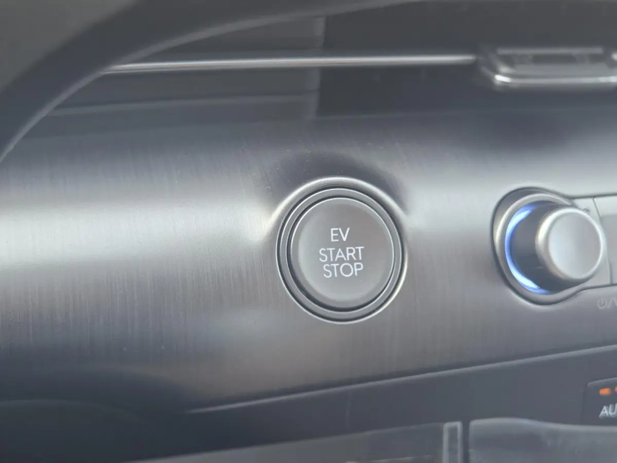 Premium 64.8 kWh ** nieuw uit voorraad leverbaar **