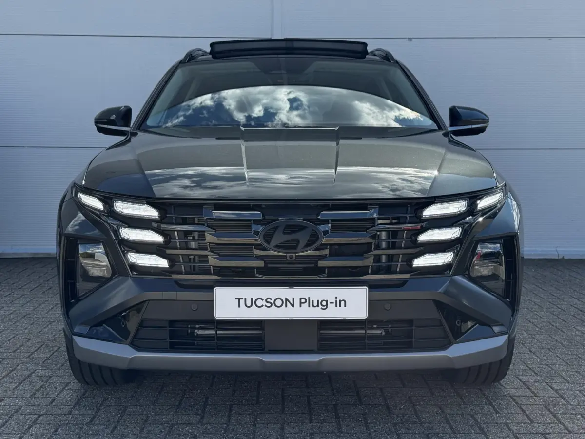1.6 T-GDI PHEV Premium Sky/ €6.000,- Voordeel / Modeljaar 2026 / Direct beschikbaar / Rijklaarprijs / 19-inch lichtmetalen velgen | Cypress Green | elektrisch glazen panorama-dak | Apple C