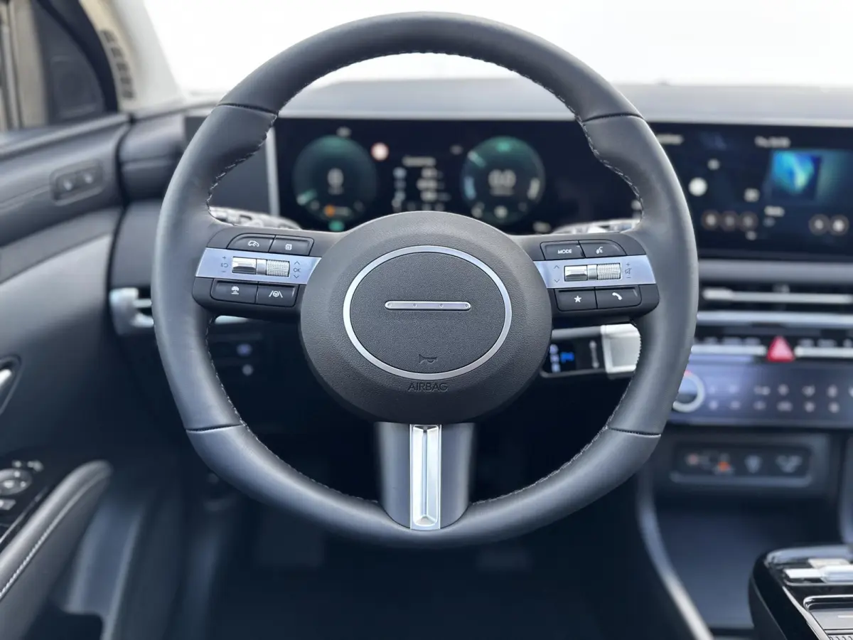 1.6 T-GDI PHEV Premium Sky/ €6.000,- Voordeel / Modeljaar 2026 / Direct beschikbaar / Rijklaarprijs / 19-inch lichtmetalen velgen | Cypress Green | elektrisch glazen panorama-dak | Apple C