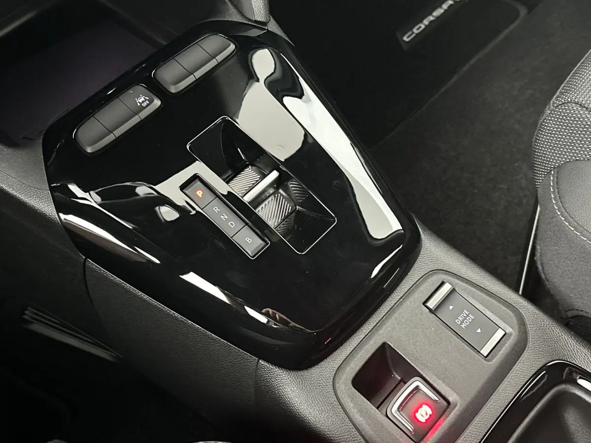 Electric Long Range GS 51 kWh | Cruise Control | Apple Carplay&Android Auto | Stoel&Stuurverwarming | 424km WLTP | 156PK! | Tot 8 jaar speciale garantie!