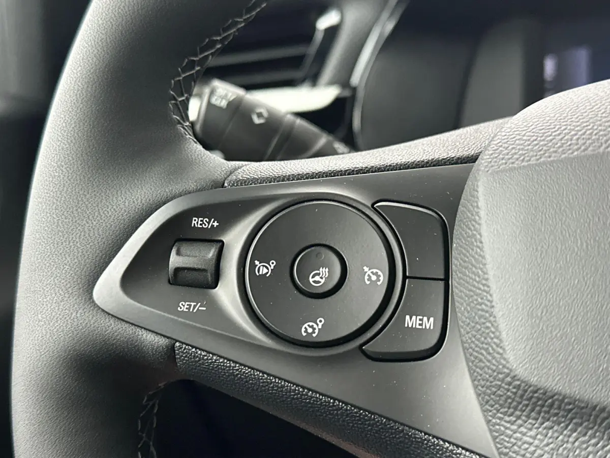 Electric Long Range GS 51 kWh | Cruise Control | Apple Carplay&Android Auto | Stoel&Stuurverwarming | 424km WLTP | 156PK! | Tot 8 jaar speciale garantie!