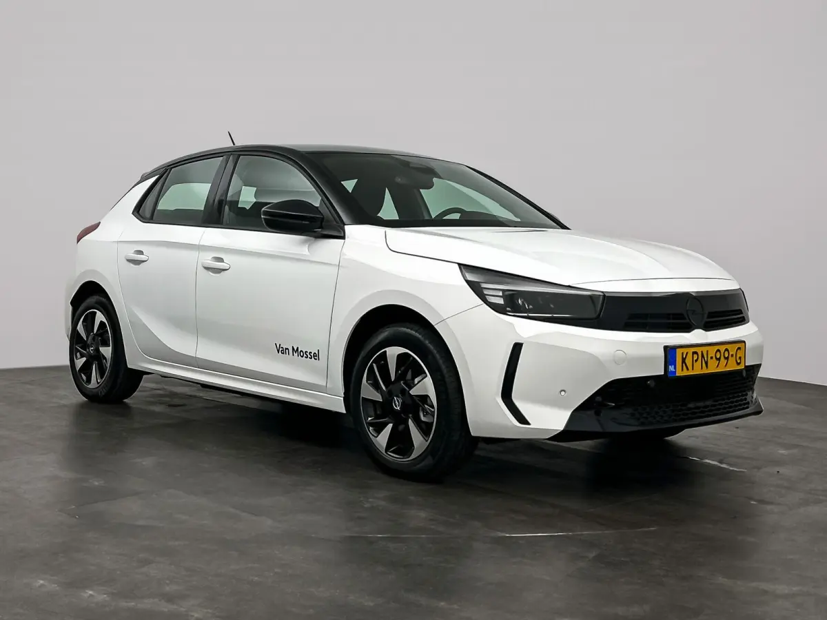 Electric Long Range GS 51 kWh | Cruise Control | Apple Carplay&Android Auto | Stoel&Stuurverwarming | 424km WLTP | 156PK! | Tot 8 jaar speciale garantie!