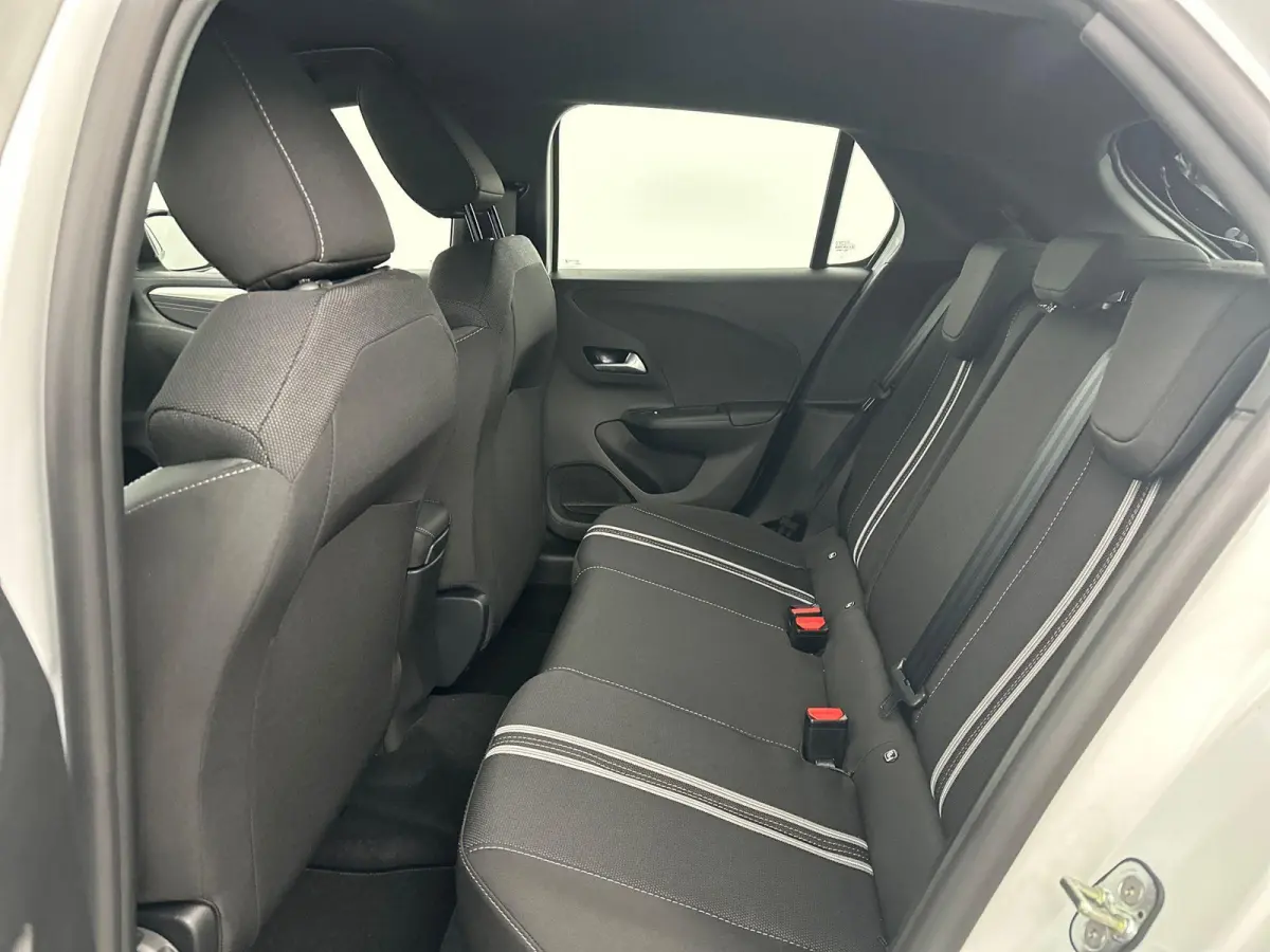 Electric Long Range GS 51 kWh | Cruise Control | Apple Carplay&Android Auto | Stoel&Stuurverwarming | 424km WLTP | 156PK! | Tot 8 jaar speciale garantie!