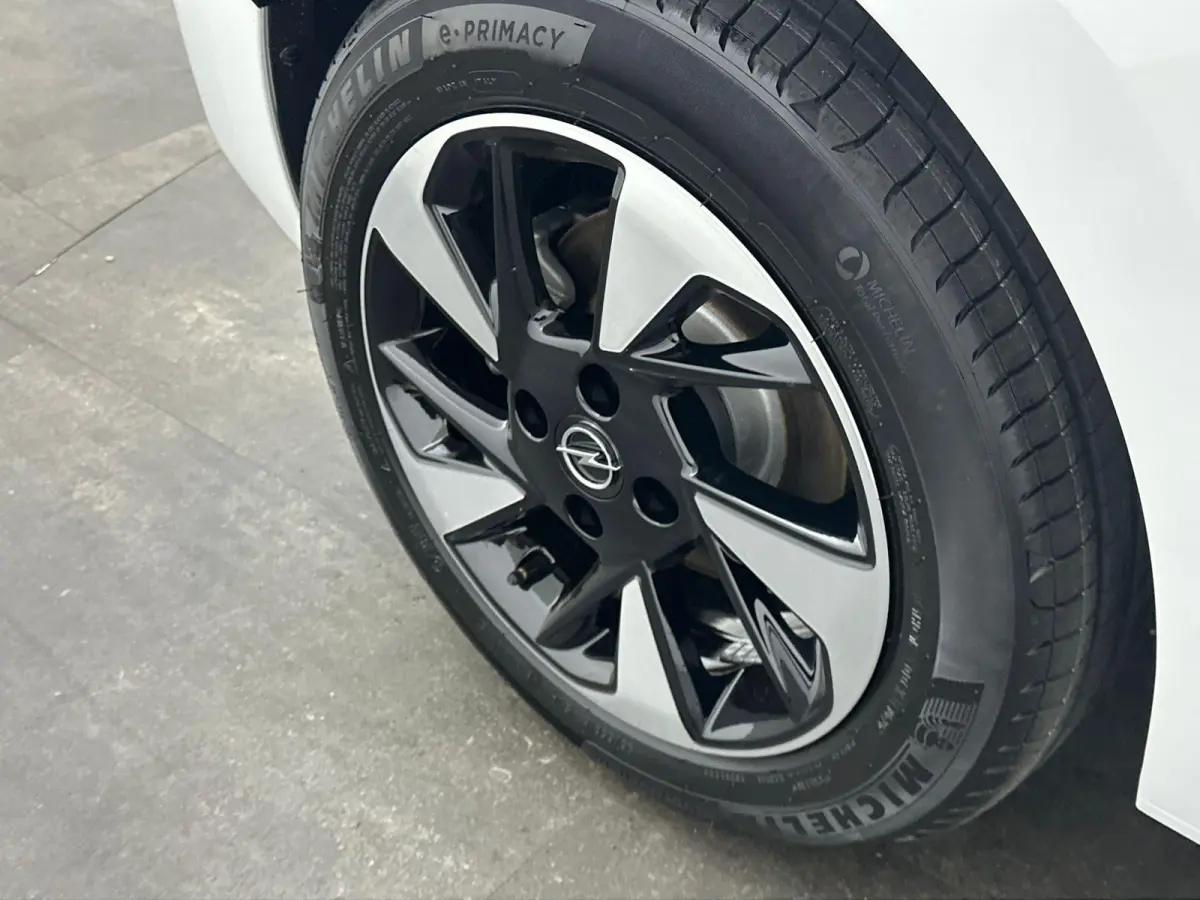 Electric Long Range GS 51 kWh | Cruise Control | Apple Carplay&Android Auto | Stoel&Stuurverwarming | 424km WLTP | 156PK! | Tot 8 jaar speciale garantie!