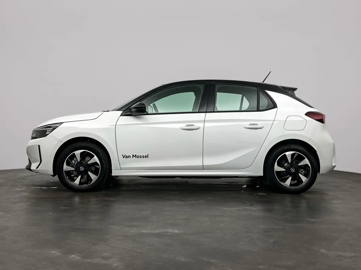 Electric Long Range GS 51 kWh | Cruise Control | Apple Carplay&Android Auto | Stoel&Stuurverwarming | 424km WLTP | 156PK! | Tot 8 jaar speciale garantie!