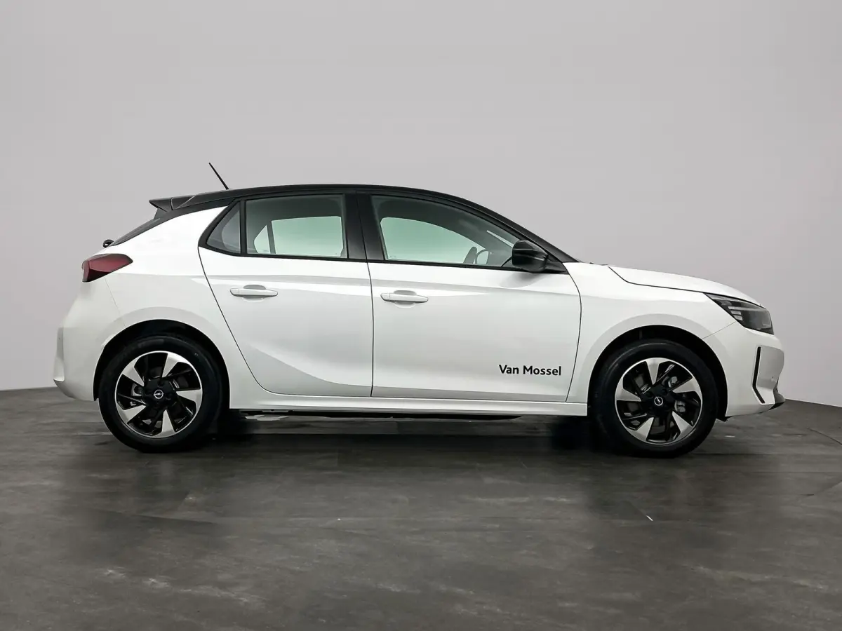 Electric Long Range GS 51 kWh | Cruise Control | Apple Carplay&Android Auto | Stoel&Stuurverwarming | 424km WLTP | 156PK! | Tot 8 jaar speciale garantie!