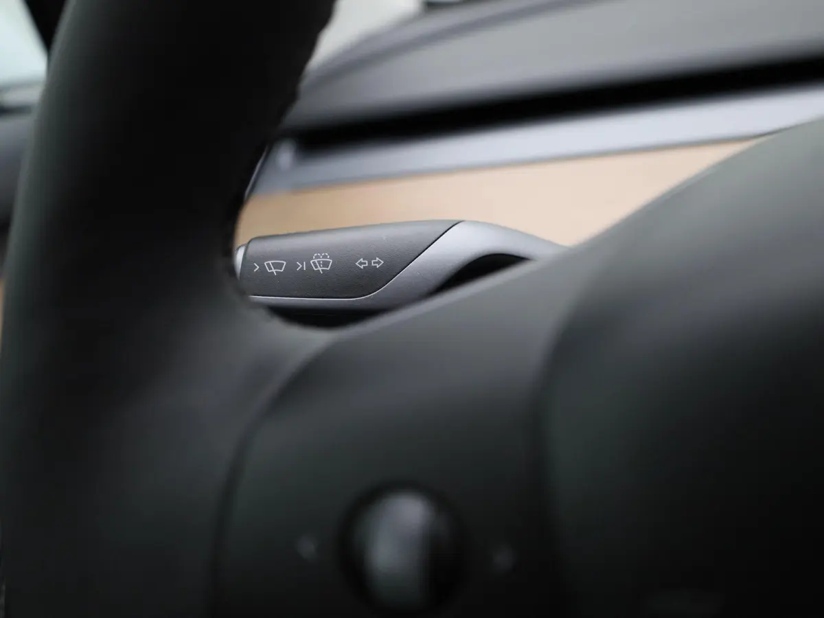 RWD Long Range | PANORAMADAK | ACHTERUITRIJCAMERA | ELEKTRISCHE KOFFERKLEP | LEDEREN BEKLEDING | CLIMATE CONTROL | ADAPTIVE CRUISE CONTROL | LED VERLICHTING |