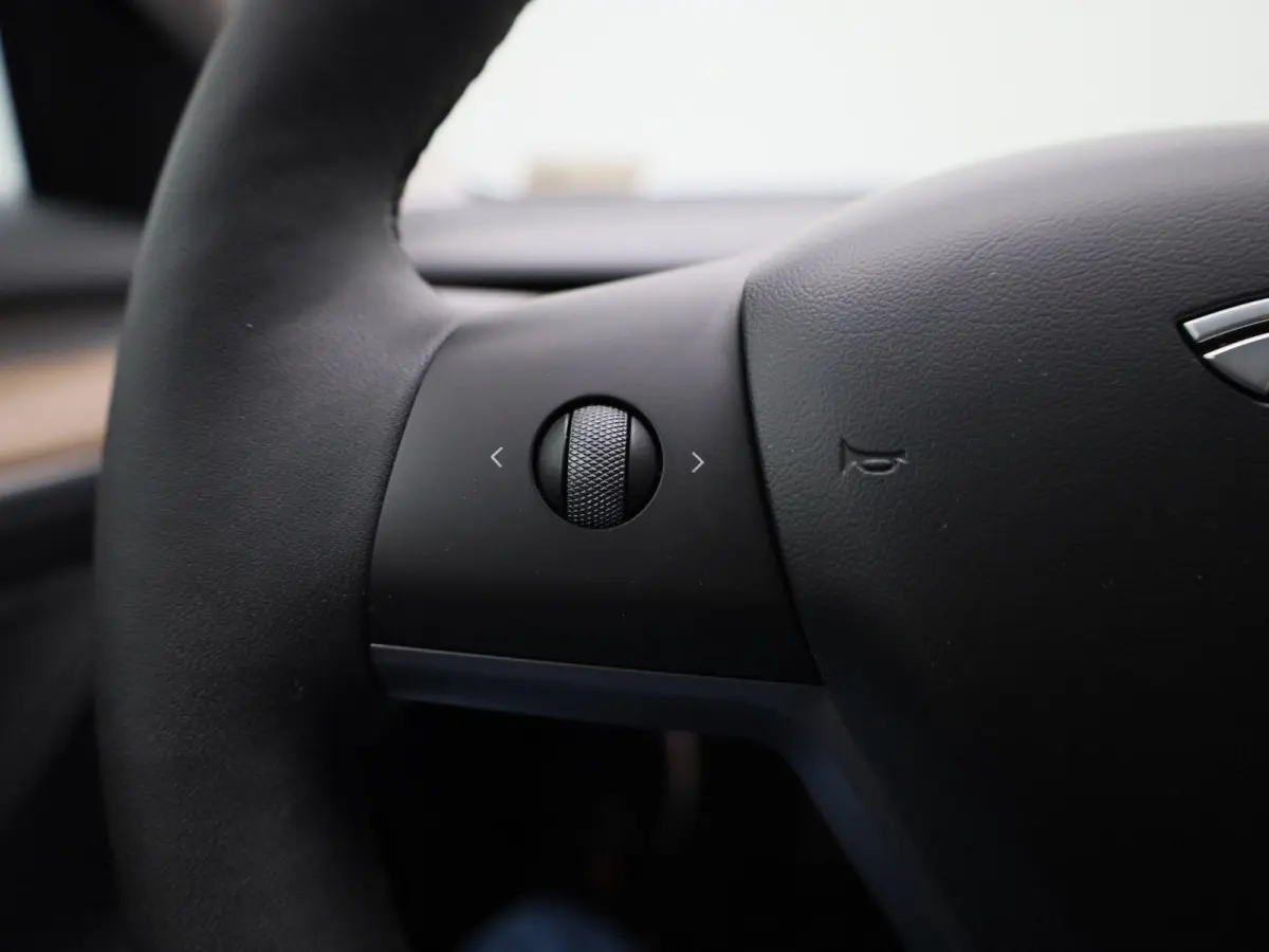 RWD Long Range | PANORAMADAK | ACHTERUITRIJCAMERA | ELEKTRISCHE KOFFERKLEP | LEDEREN BEKLEDING | CLIMATE CONTROL | ADAPTIVE CRUISE CONTROL | LED VERLICHTING |