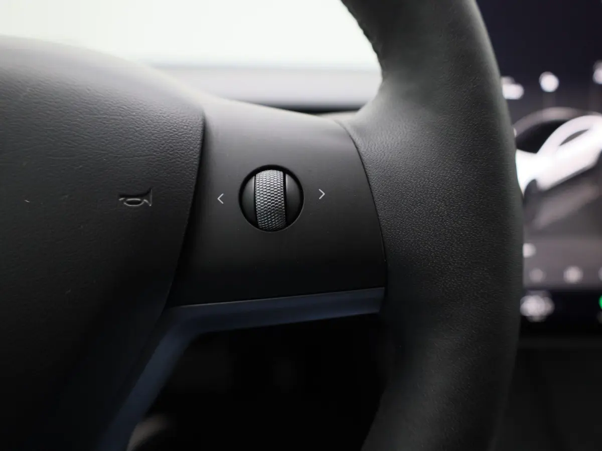 RWD Long Range | PANORAMADAK | ACHTERUITRIJCAMERA | ELEKTRISCHE KOFFERKLEP | LEDEREN BEKLEDING | CLIMATE CONTROL | ADAPTIVE CRUISE CONTROL | LED VERLICHTING |