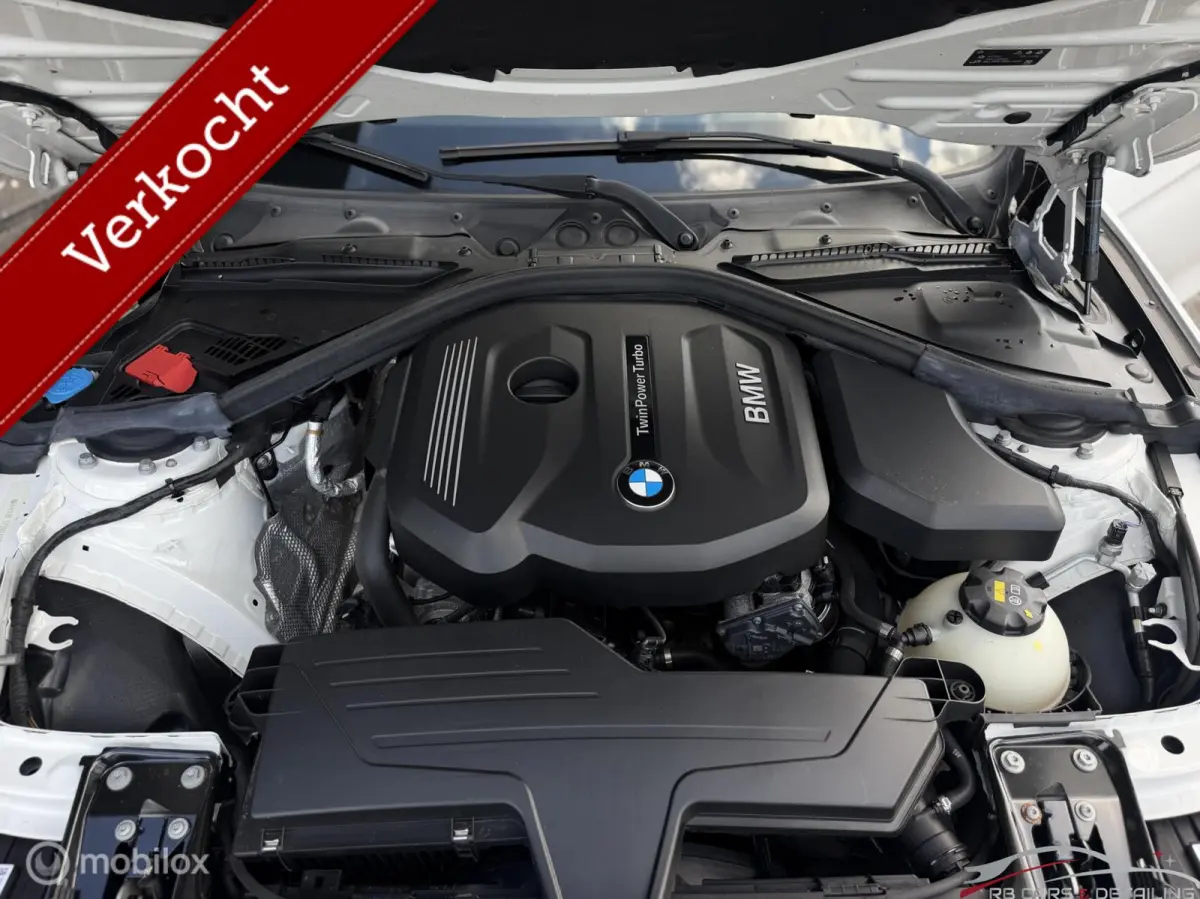 318i M Sport Edition, Dealeronderhouden, trekh
