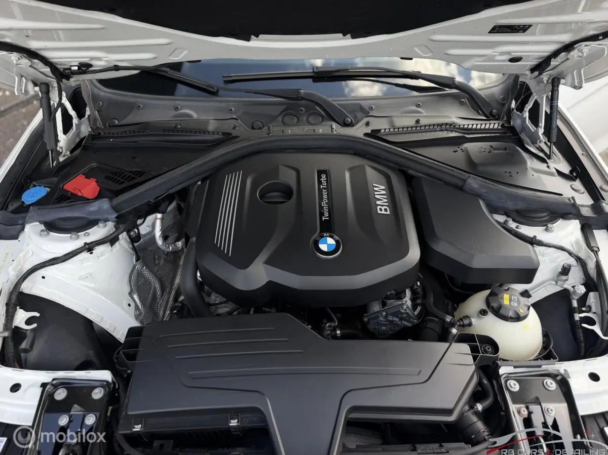 318i M Sport Edition, Dealeronderhouden, trekh