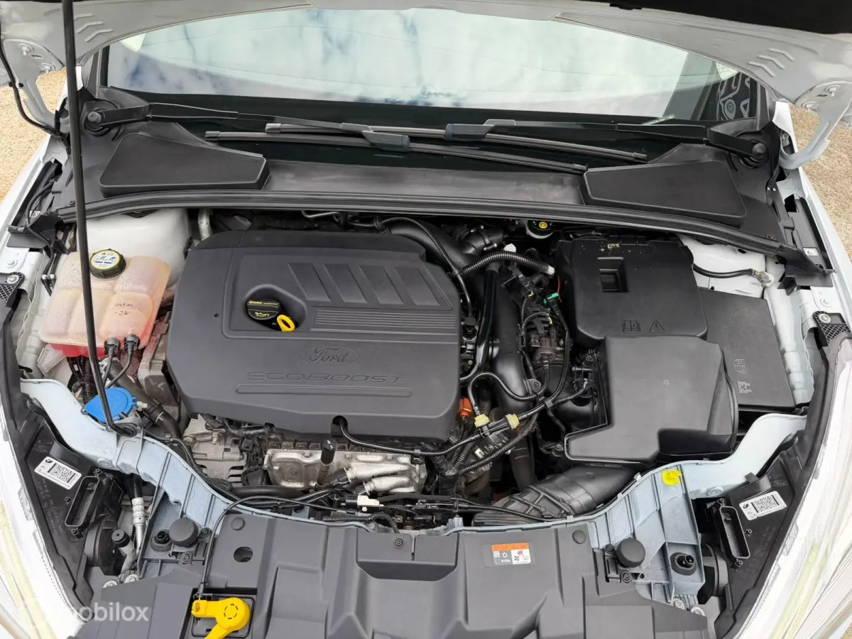 1.5 EcoBoost 150PK Navi Incl. APK + Riem