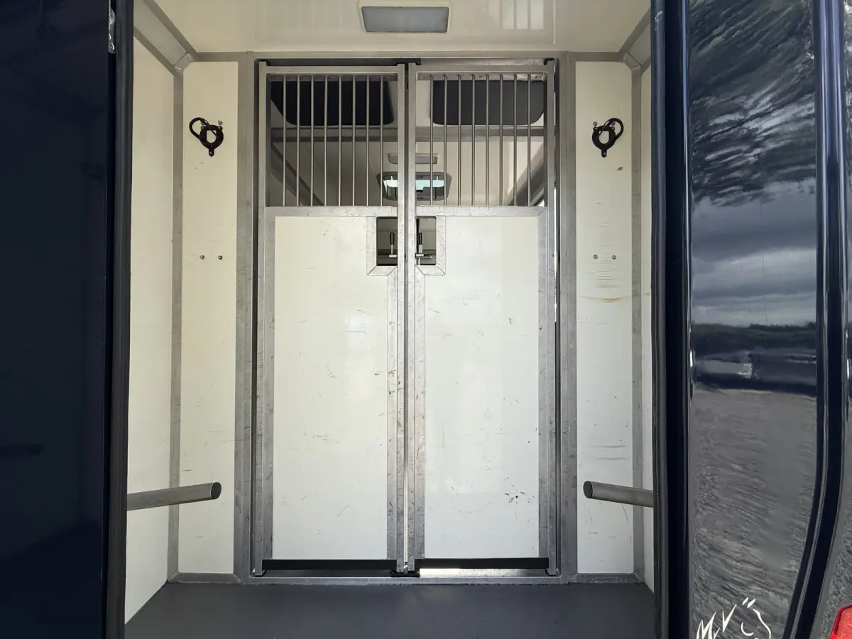 | HORSETRUCK | STX | STALLION 5XL | 2018 | HENGST | AUTOMATIC | DUB CAB | 5-SEAT | 165.631KM | L3 | 170PK | SUPERDELUXE | DEENS KENTEKEN