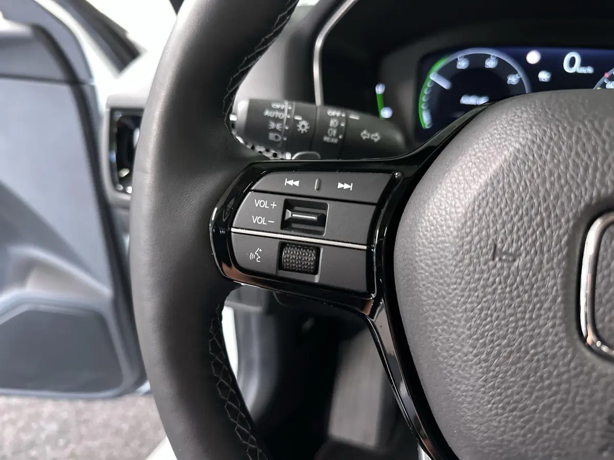 2.0 e:HEV Advance Automaat | Leder | Pano