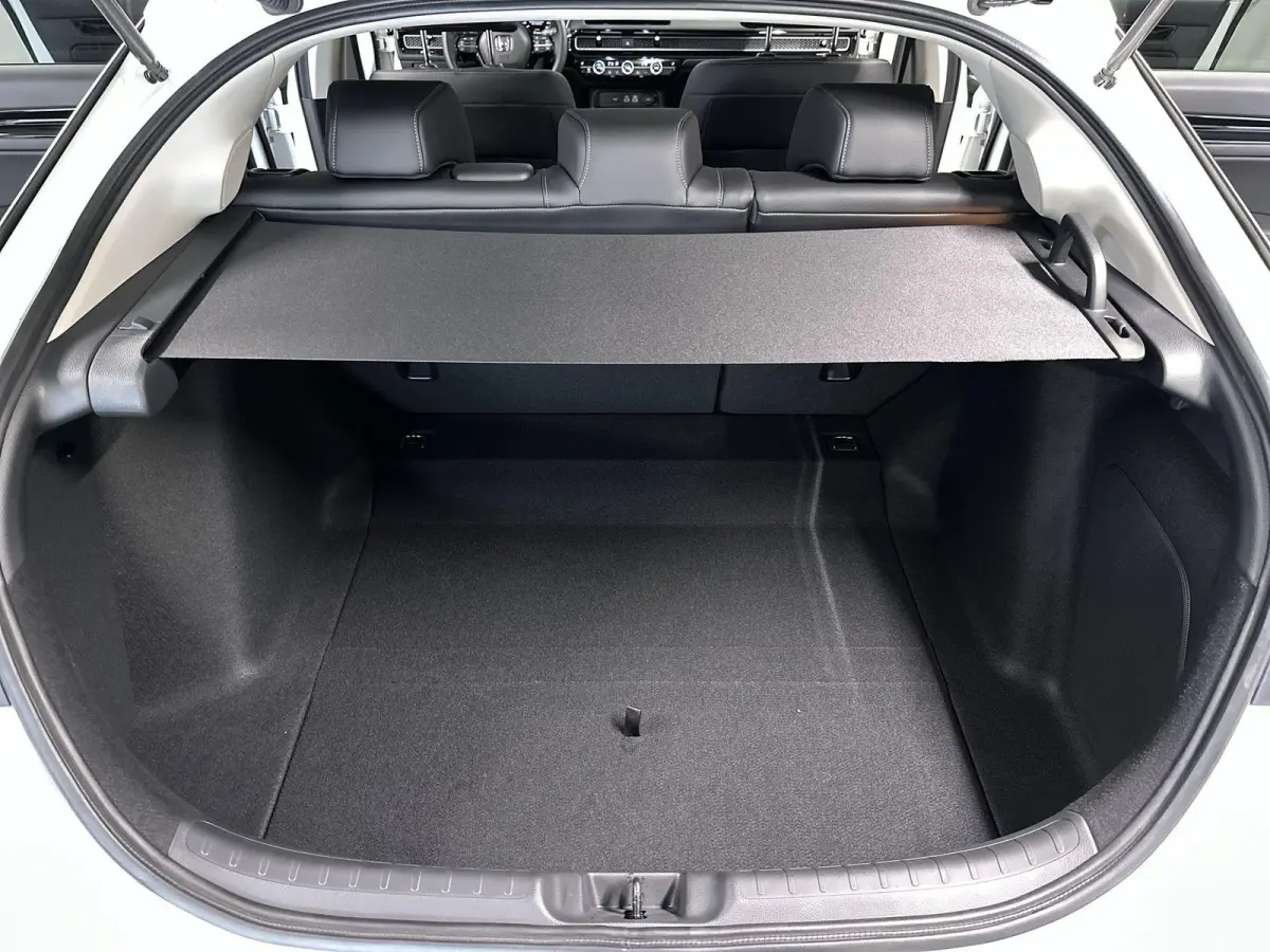 2.0 e:HEV Advance Automaat | Leder | Pano