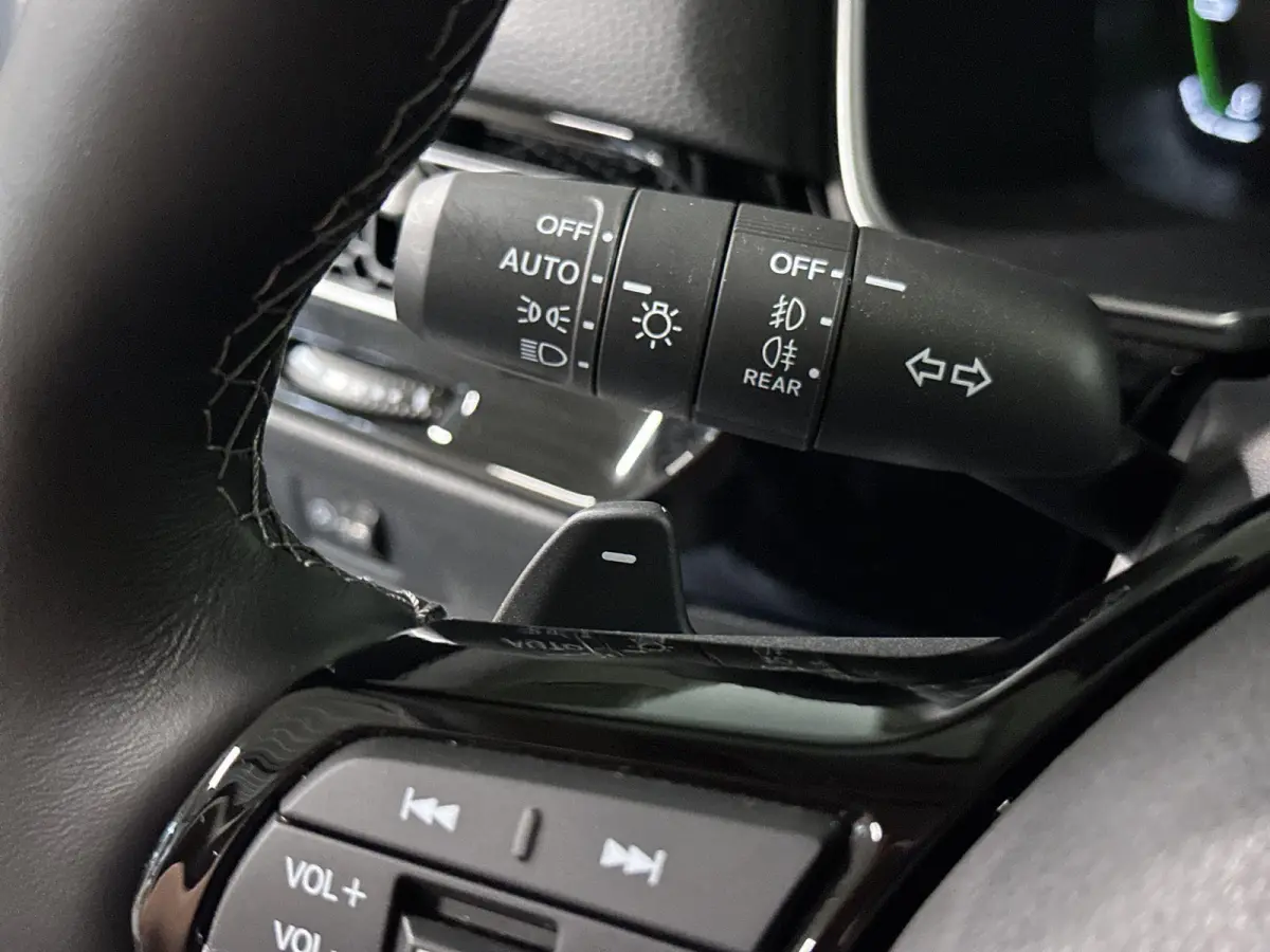 2.0 e:HEV Advance Automaat | Leder | Pano