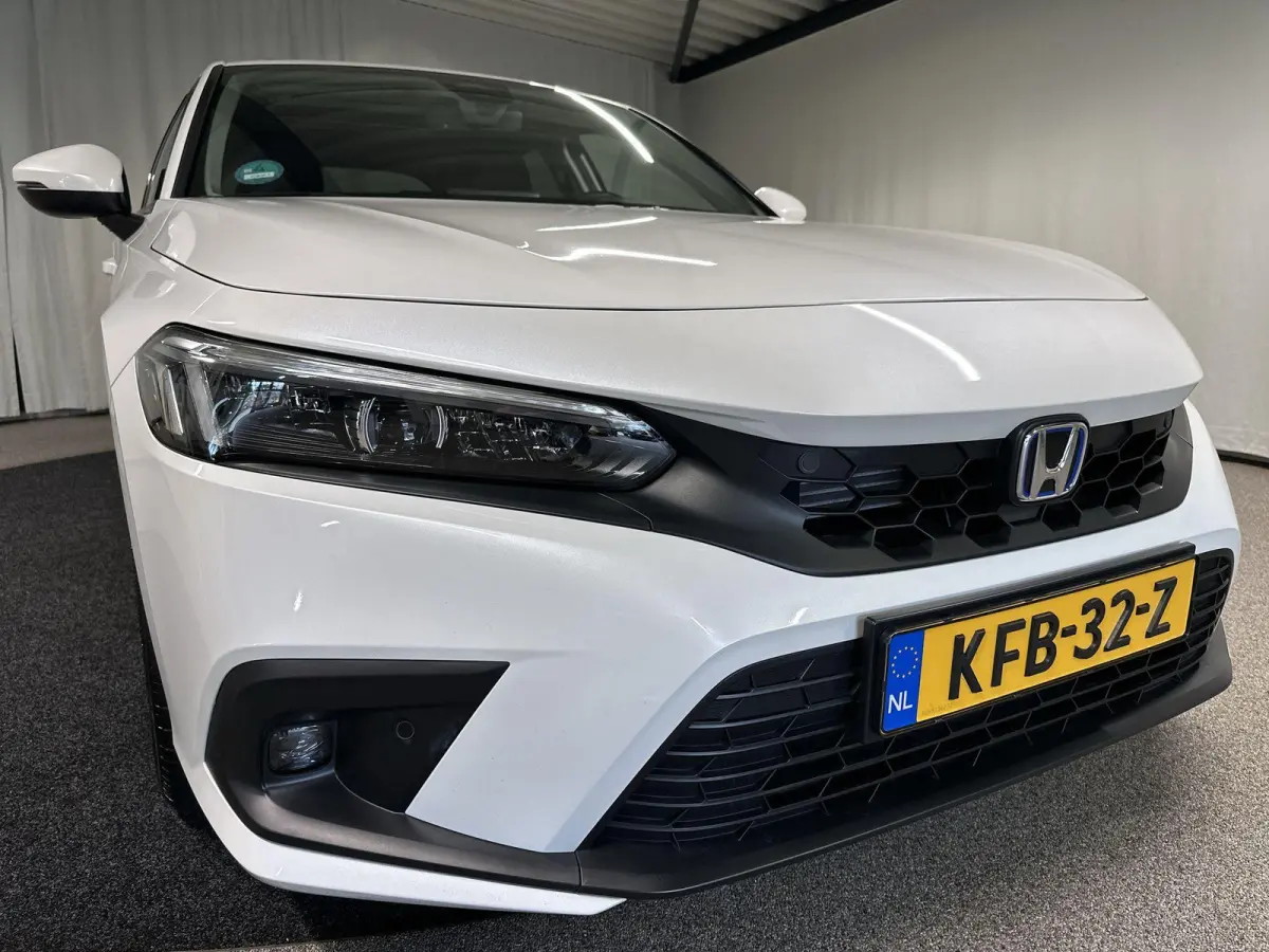 2.0 e:HEV Advance Automaat | Leder | Pano