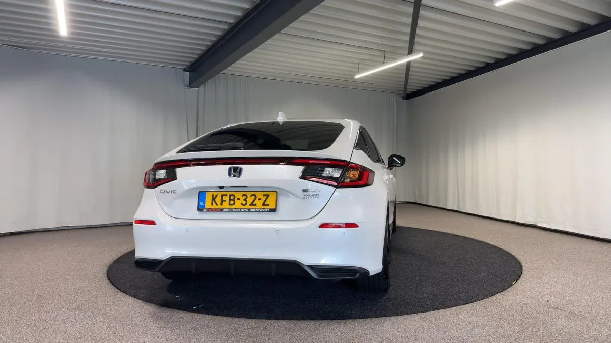 2.0 e:HEV Advance Automaat | Leder | Pano