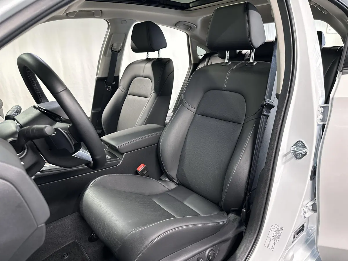2.0 e:HEV Advance Automaat | Leder | Pano