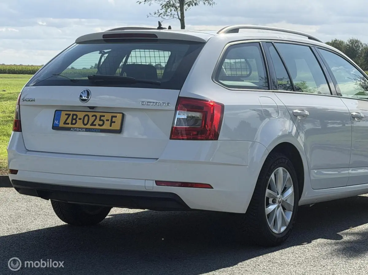 1.0 TSI Greentech Ambition Business