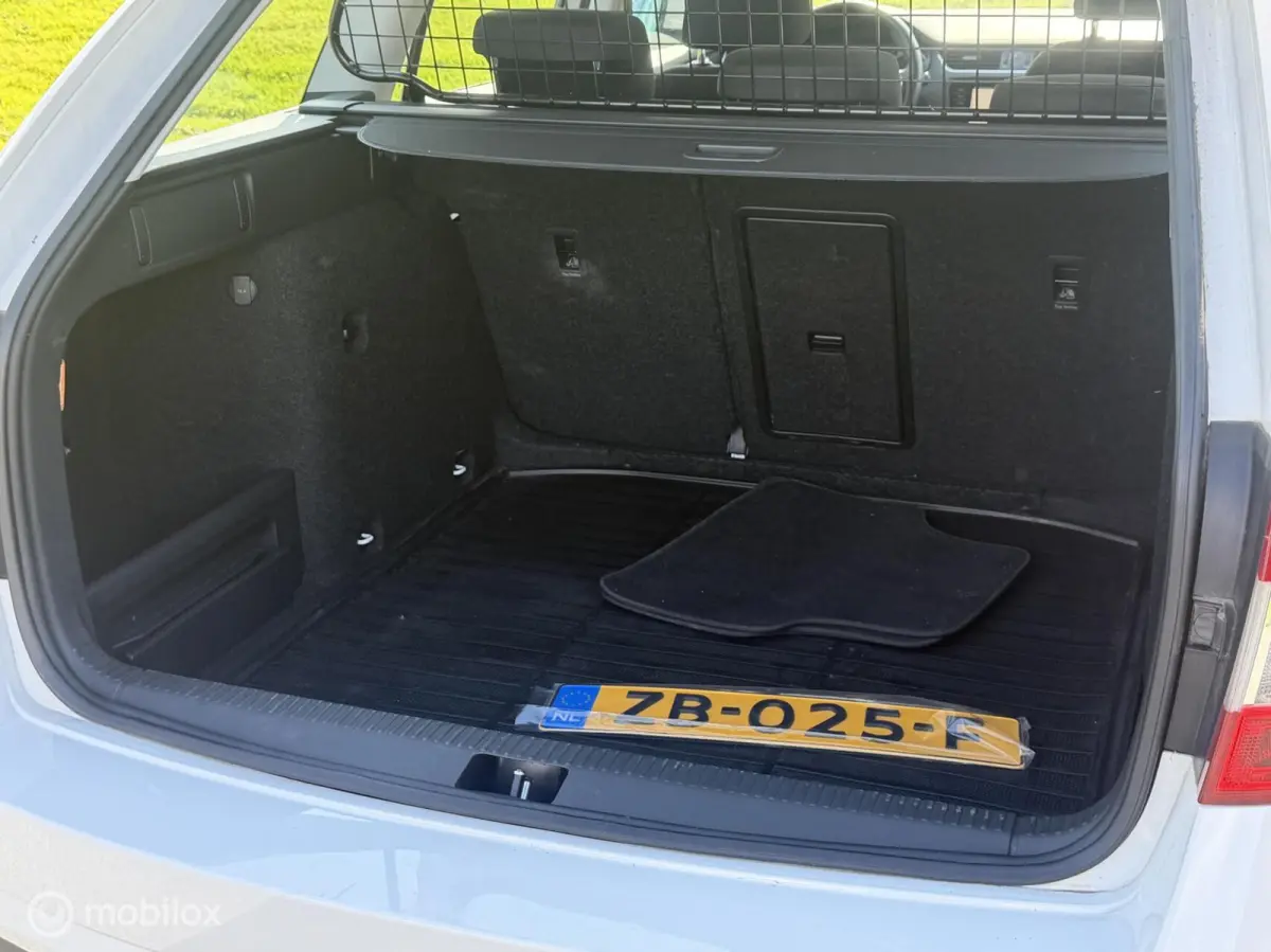 1.0 TSI Greentech Ambition Business