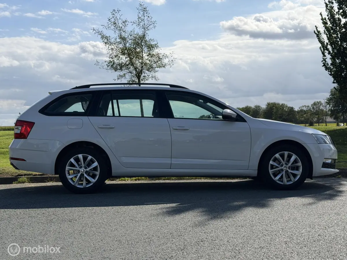 1.0 TSI Greentech Ambition Business