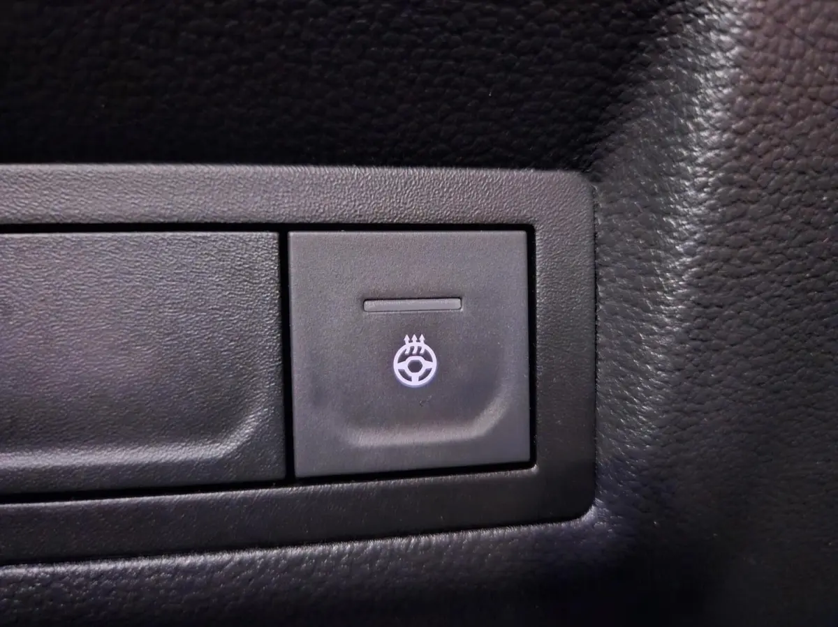 1.6 E-Tech PHEV 160 RIVE GAUCHE PANODAK!