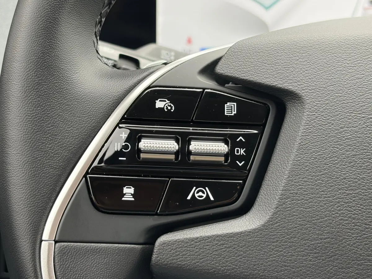 Edition 77.4 kWh/ SOH 100% / Fabrieksgarantie tot 18-06-2032 / 1.600 kg trekgewicht / Android Auto & Apple Carplay / Navigatie / Cruise Control Adaptief / Climate Control / DAB / Draadloze T