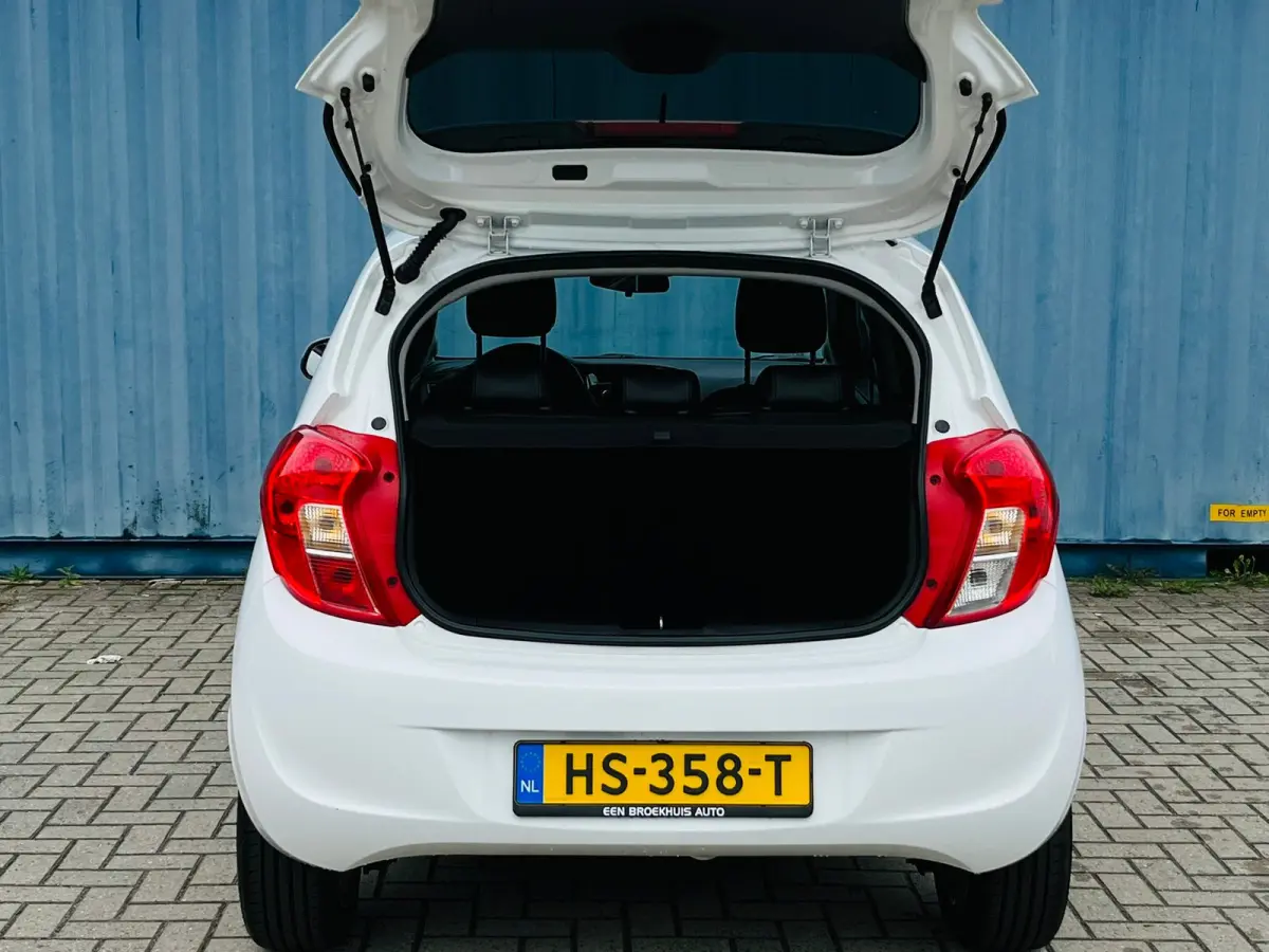 1.0 ecoFLEX Cosmo Cruise control | Airconditioning | Elektrische ramen