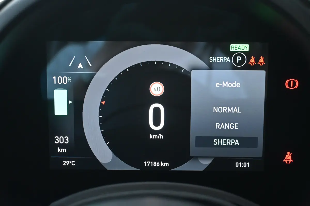 Icon 42 kWh 96,47%SOH! | Navi by App | Stoel verwarming | Cruise Control |Achteruitrijcamera | Airco | LMV 16" |
