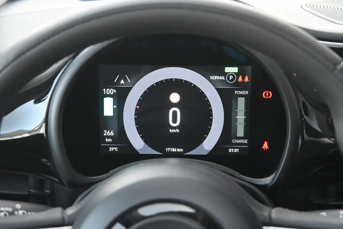 Icon 42 kWh 96,47%SOH! | Navi by App | Stoel verwarming | Cruise Control |Achteruitrijcamera | Airco | LMV 16" |