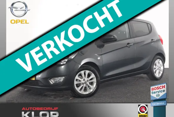 1.0 ecoFLEX Innovation | stoel + stuur verwarming | eerste eigenaar