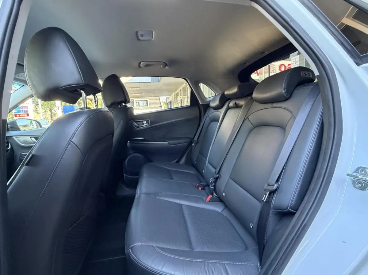 EV Premium 64 kWh Camera, Carplay, Climat..
