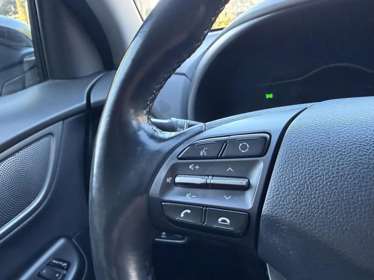 EV Premium 64 kWh Camera, Carplay, Climat..