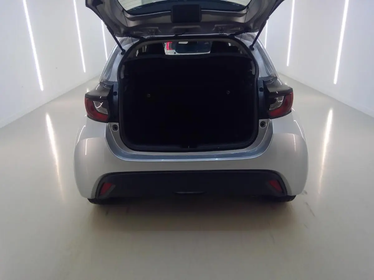 1.5 HYBRID 115 ACTIVE I AUTOMAAT I APPLE CARPLAY I P-CAMERA I ADAPTIVE CRUISE CONTROL