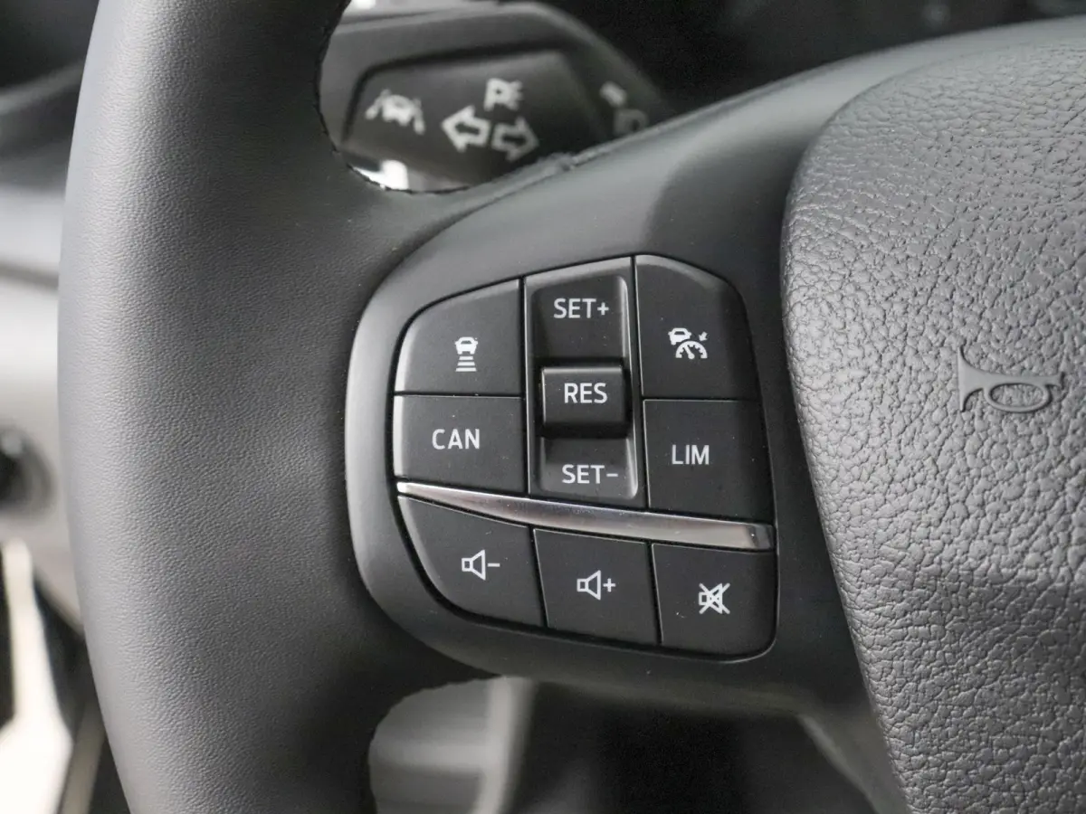 310 2.0 TDCI L2H2 Trend Automaat Airco Bluetooth Camera Cruise Control Trekhaak