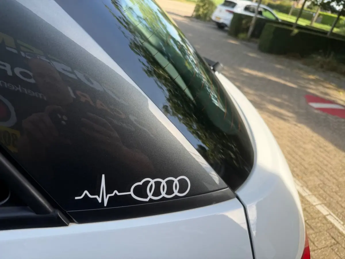 1.0 TFSI DESIGN PROL