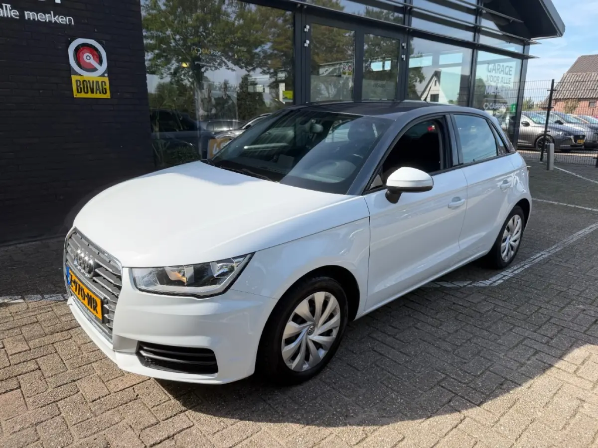 1.0 TFSI DESIGN PROL