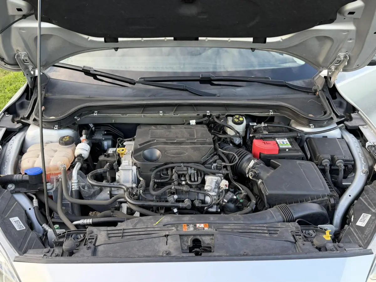 1.0 EcoBoost ST Line Business 5deurs dealer onderh