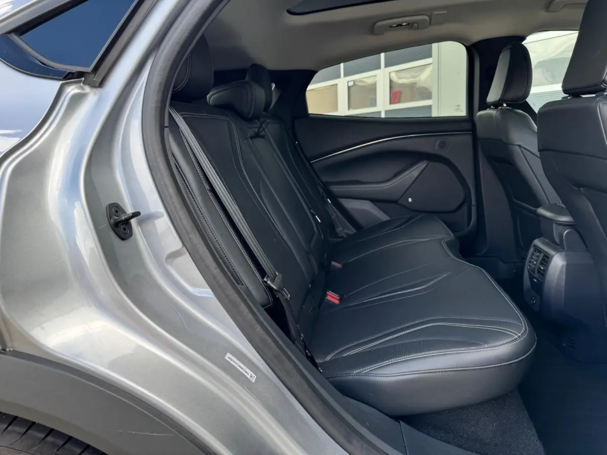 Extended RWD 98 kWh SOH 92,5%