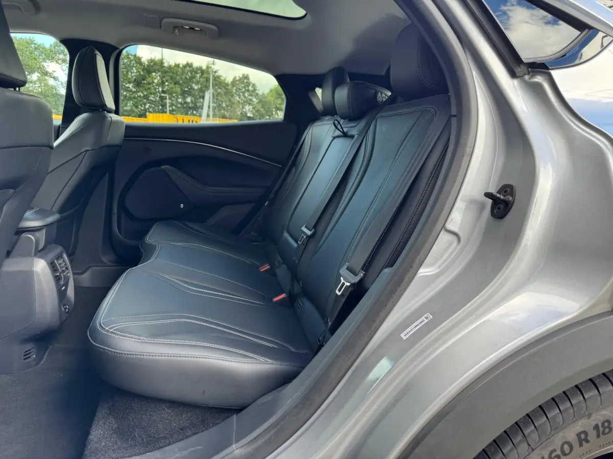 Extended RWD 98 kWh SOH 92,5%