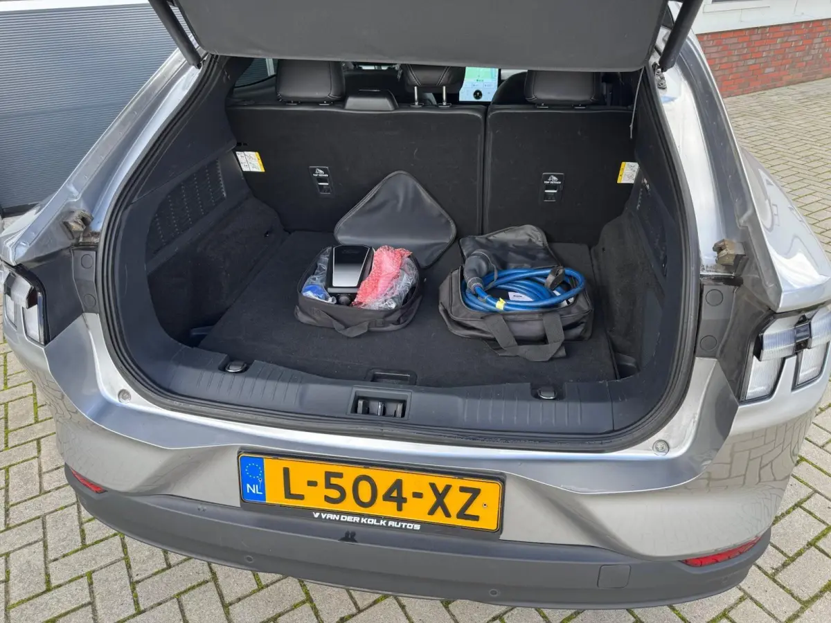Extended RWD 98 kWh SOH 92,5%