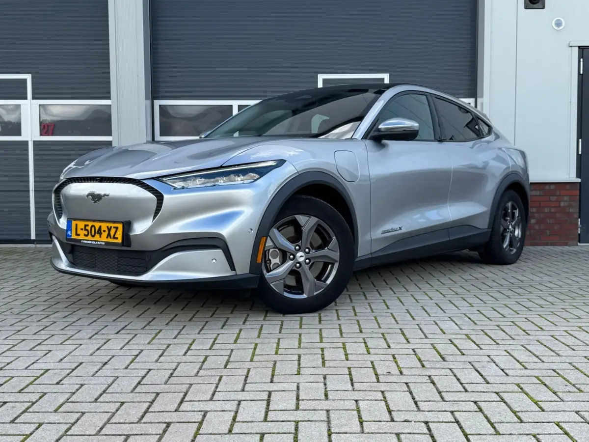 Extended RWD 98 kWh SOH 92,5%