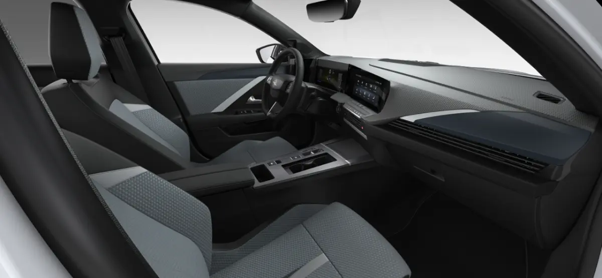 Business Edition - Plug-In Hybrid | 3,7 kW boordlader | 7,4 kW boordlader | Achteruitrijcamera 180°